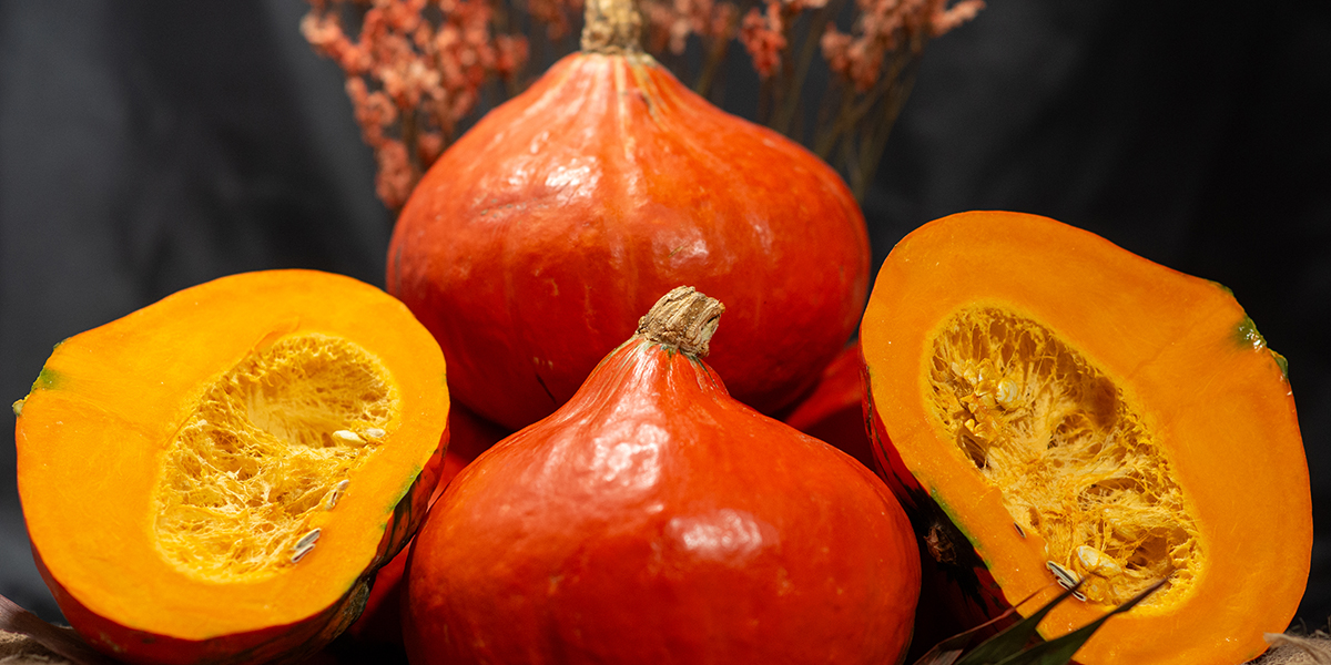 Dalla ricerca al campo: Enza Zaden ridefinisce il futuro della zucca